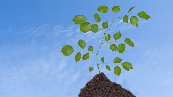 一起來了解碳中和！